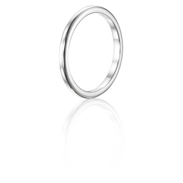 1.01 Days - Two Plain Ring Silver
