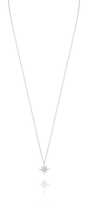 One star halsband Silver 41-45 cm
