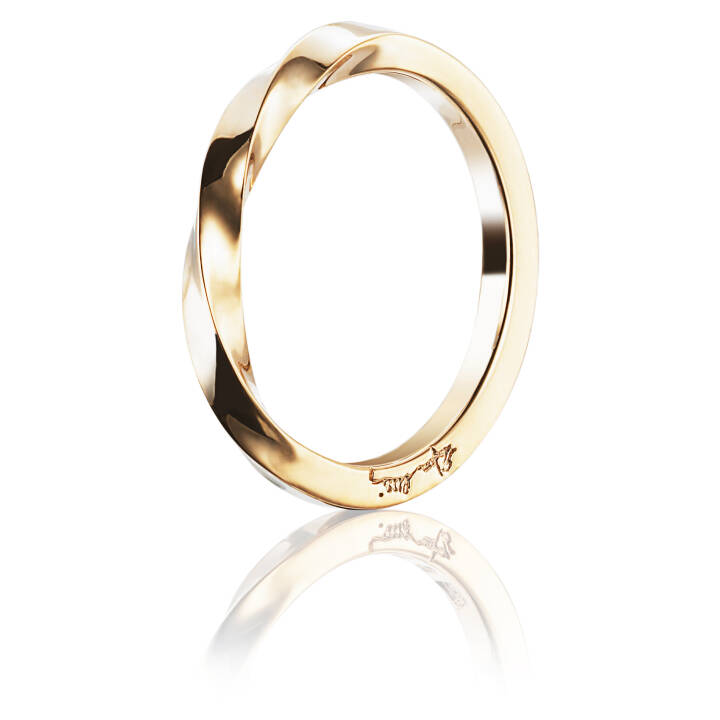 Viking Plain Ring Guld 18.00 mm