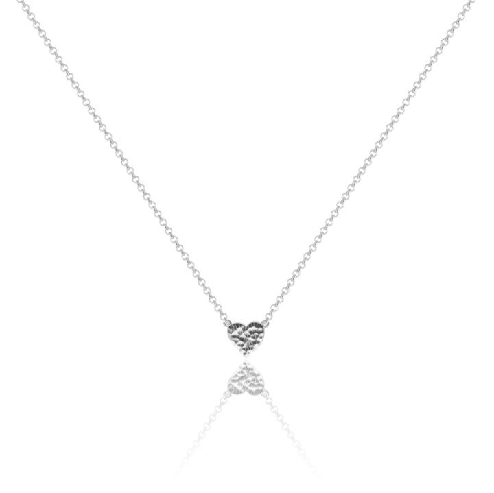 Wildheart Halsband (silver) 38-42 cm
