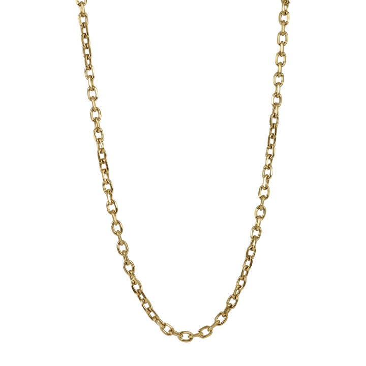 CHARLIE Chain halsband Guld