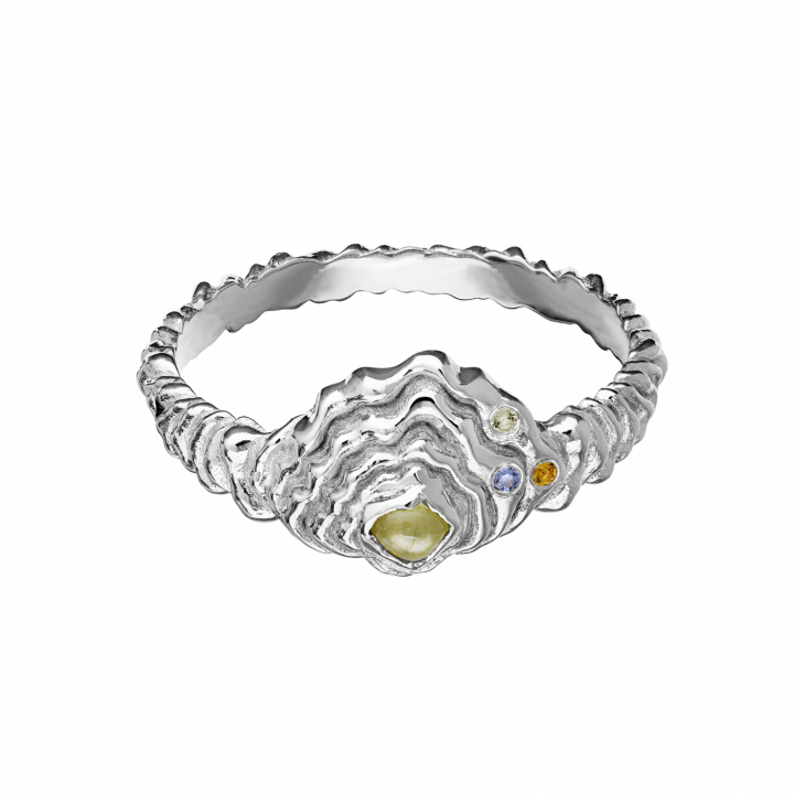 Aia ring Silver 55