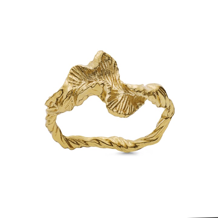 Nino ring (guld) 53